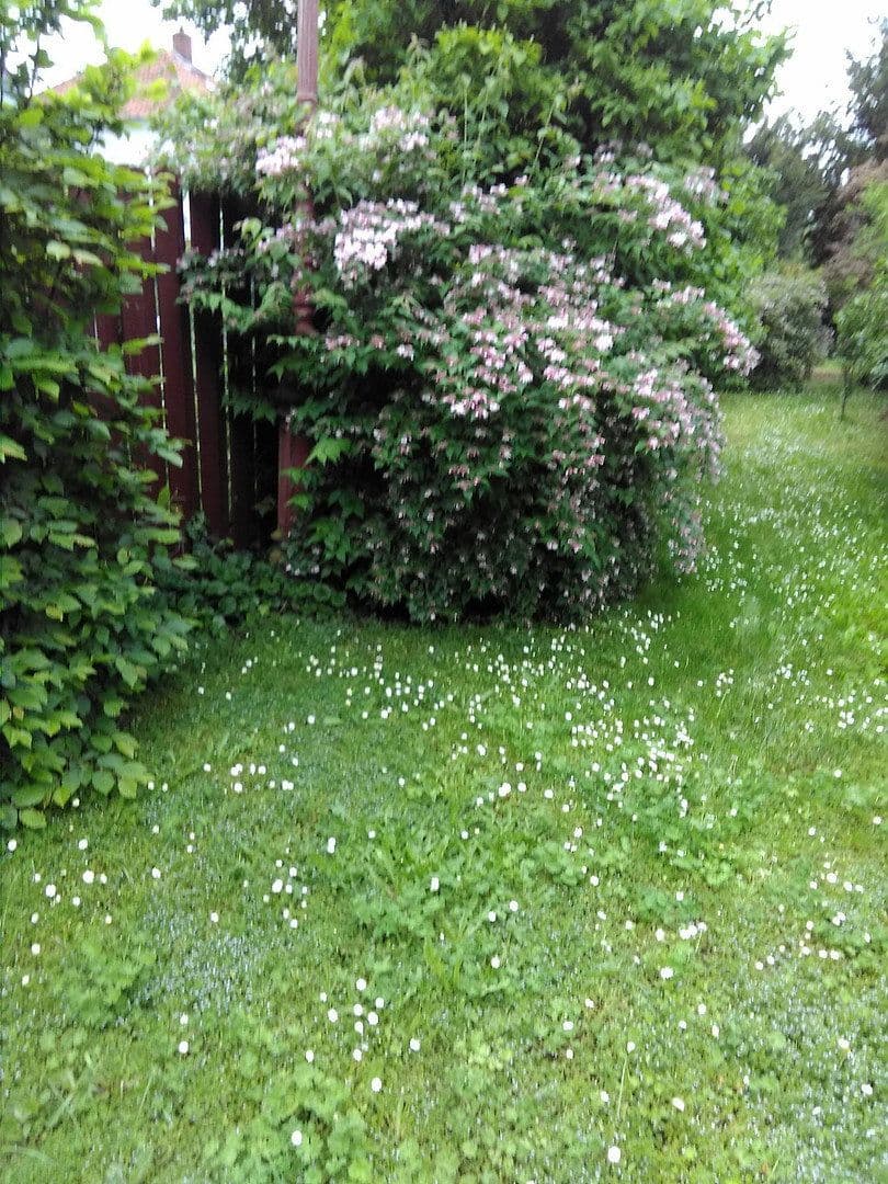 Predaj domu 150 m², pozemek 580 m², Worms, Porýnie-Falcko Predaj domu 150 m², pozemek 580 m², Worms, Porýnie-Falcko