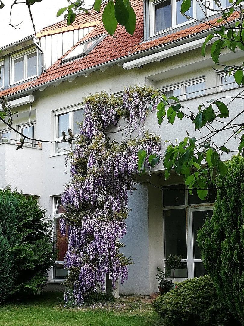 Predaj bytu 6-izbový 130 m², Žitava, Sasko Predaj bytu 6-izbový 130 m², Žitava, Sasko