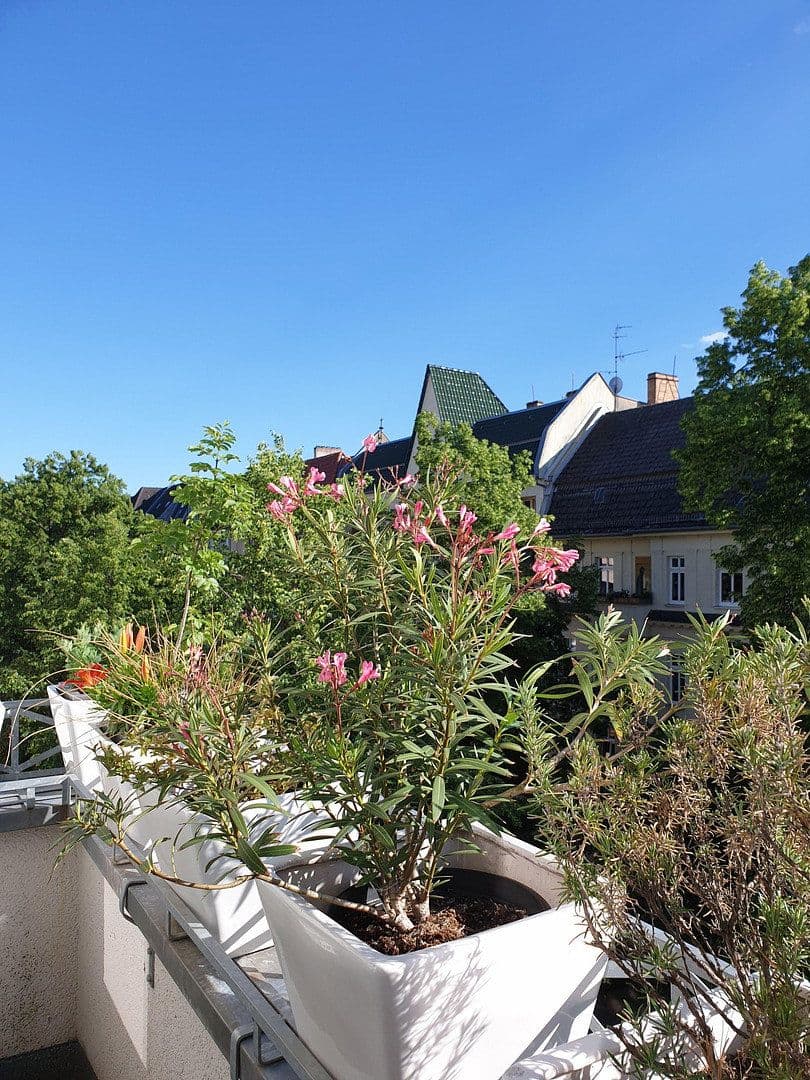 Predaj bytu 5-izbový 116 m², Scheiblerstr., Berlin, Berlín Predaj bytu 5-izbový 116 m², Scheiblerstr., Berlin, Berlín