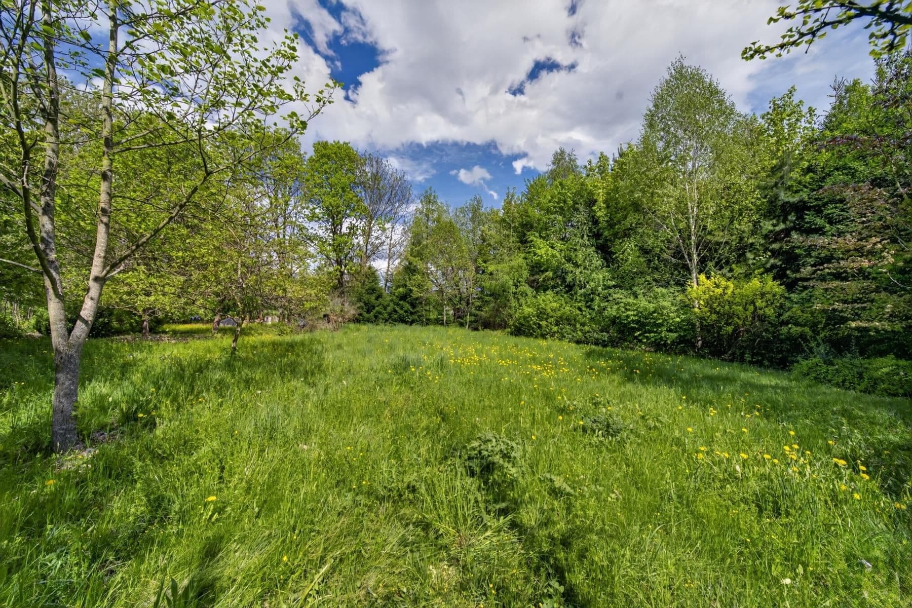 Predaj domu 278 m², pozemek 535 m², Bor, Plzeňský kraj Predaj domu 278 m², pozemek 535 m², Bor, Plzeňský kraj
