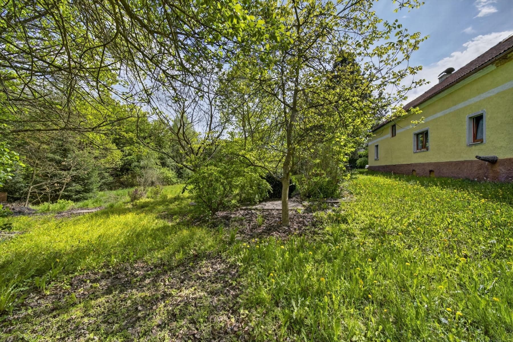 Predaj domu 278 m², pozemek 535 m², Bor, Plzeňský kraj Predaj domu 278 m², pozemek 535 m², Bor, Plzeňský kraj