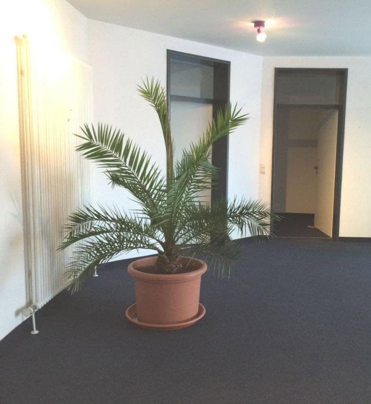 Prenájom kancelárie 24 m², Badstraße 24a, Offenburg, Bádensko-Wurttembersko Prenájom kancelárie 24 m², Badstraße 24a, Offenburg, Bádensko-Wurttembersko