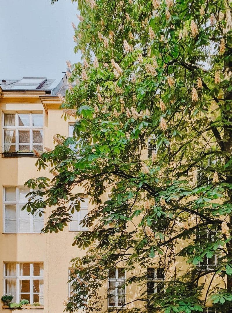 Predaj bytu 2-izbový 70 m², Berlin, Berlín Predaj bytu 2-izbový 70 m², Berlin, Berlín