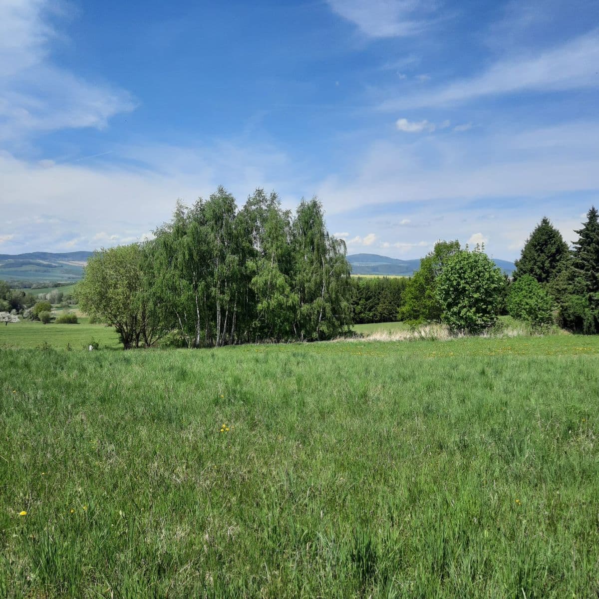 Predaj pozemku 1.380 m², Týnec, Plzeňský kraj Predaj pozemku 1.380 m², Týnec, Plzeňský kraj