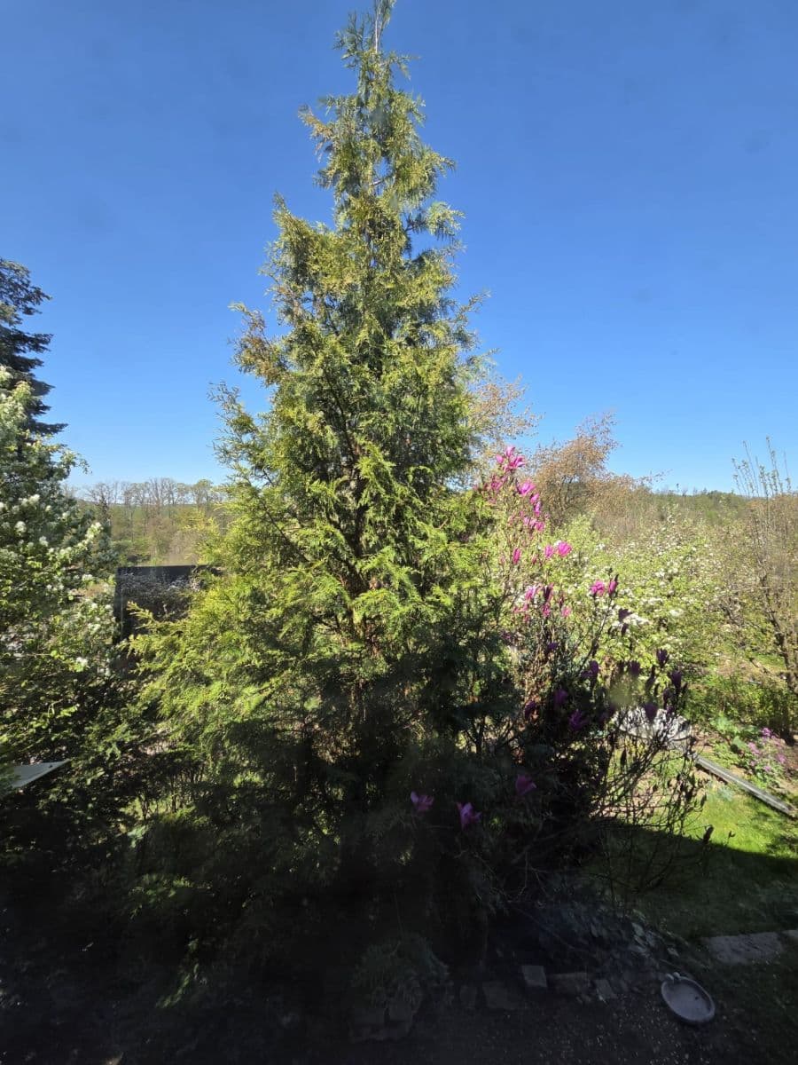 Predaj rekreačného objektu 16 m², pozemek 360 m², U Martínka, Písek, Jihočeský kraj Predaj rekreačného objektu 16 m², pozemek 360 m², U Martínka, Písek, Jihočeský kraj