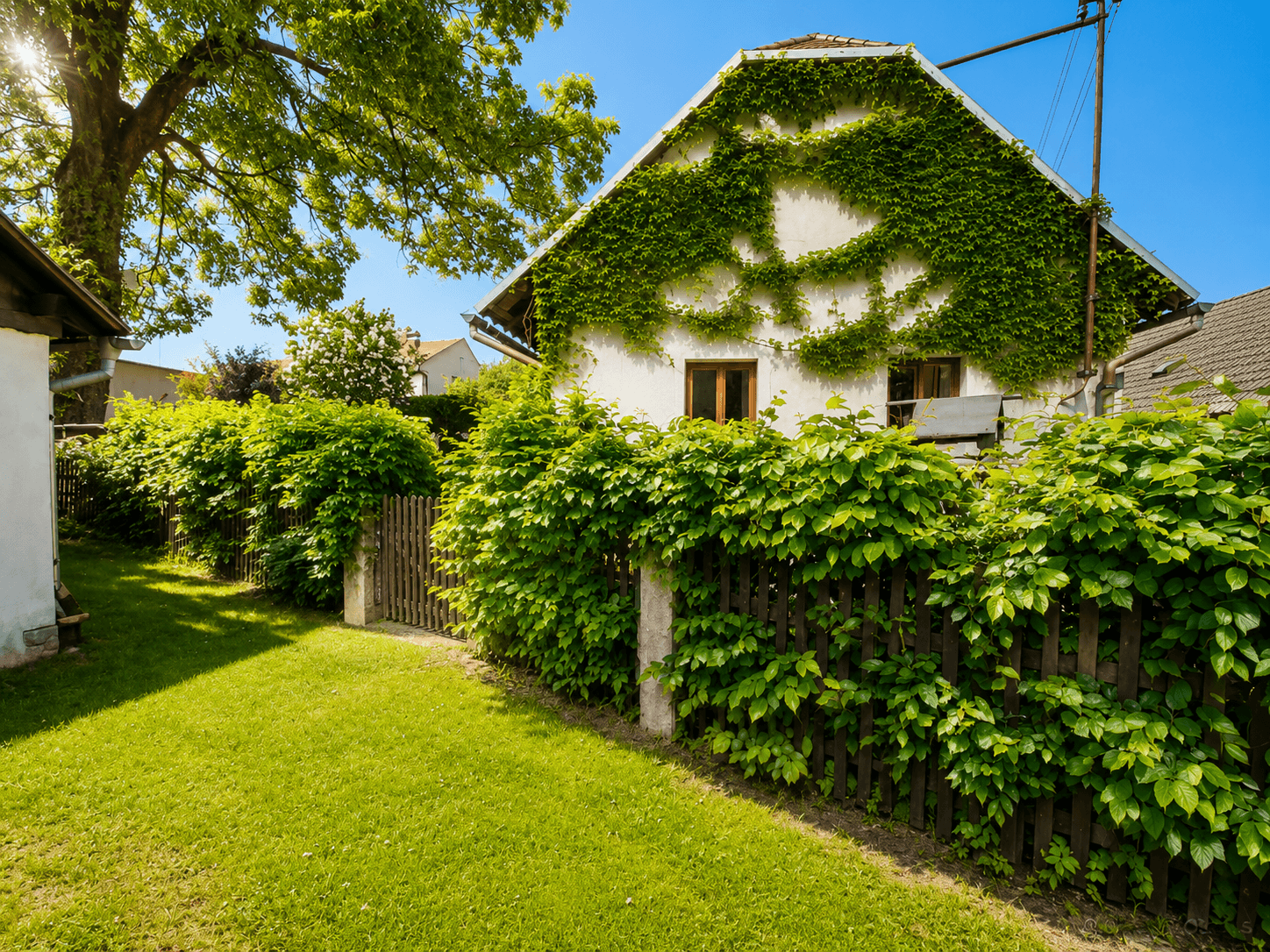 Predaj domu 100 m², pozemek 736 m², Chotěboř, Kraj Vysočina Predaj domu 100 m², pozemek 736 m², Chotěboř, Kraj Vysočina
