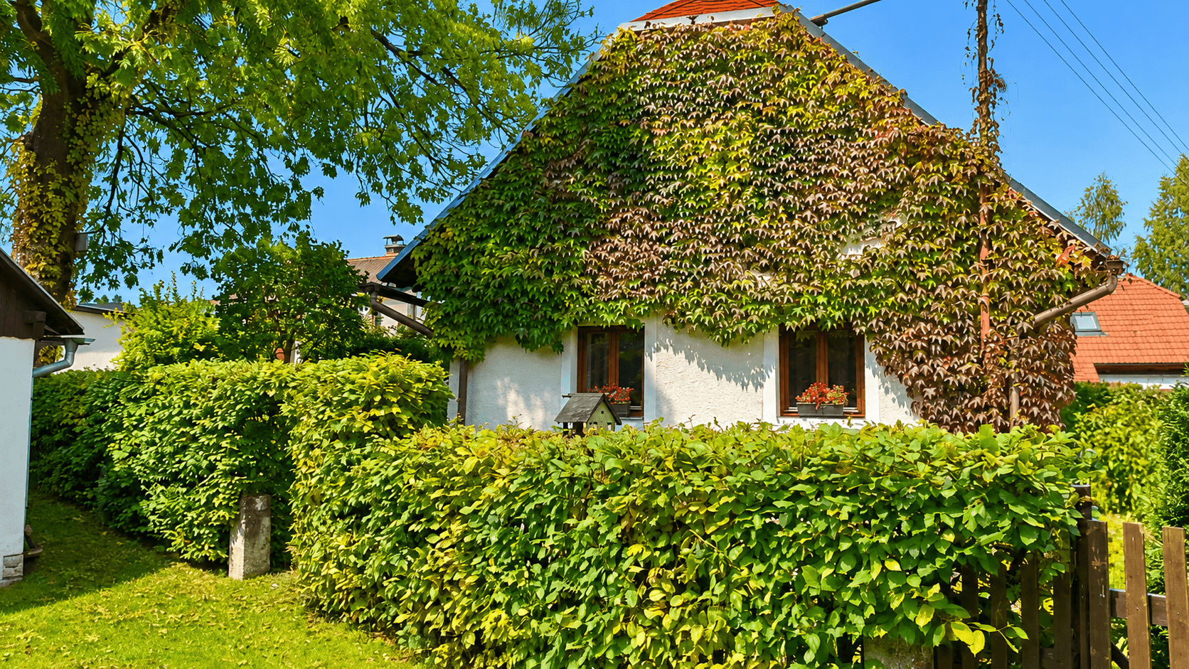 Predaj domu 100 m², pozemek 736 m², Chotěboř, Kraj Vysočina Predaj domu 100 m², pozemek 736 m², Chotěboř, Kraj Vysočina
