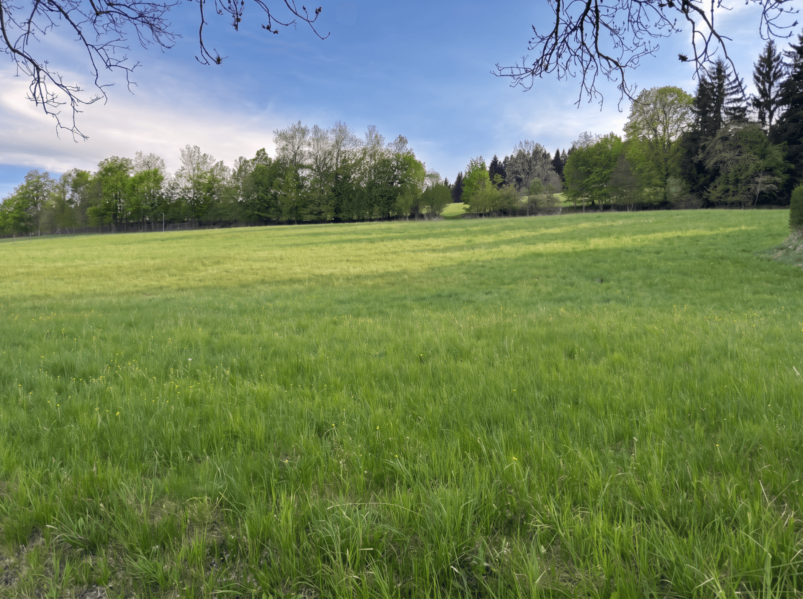 Predaj pozemku 2.138 m², Stachy, Jihočeský kraj Predaj pozemku 2.138 m², Stachy, Jihočeský kraj