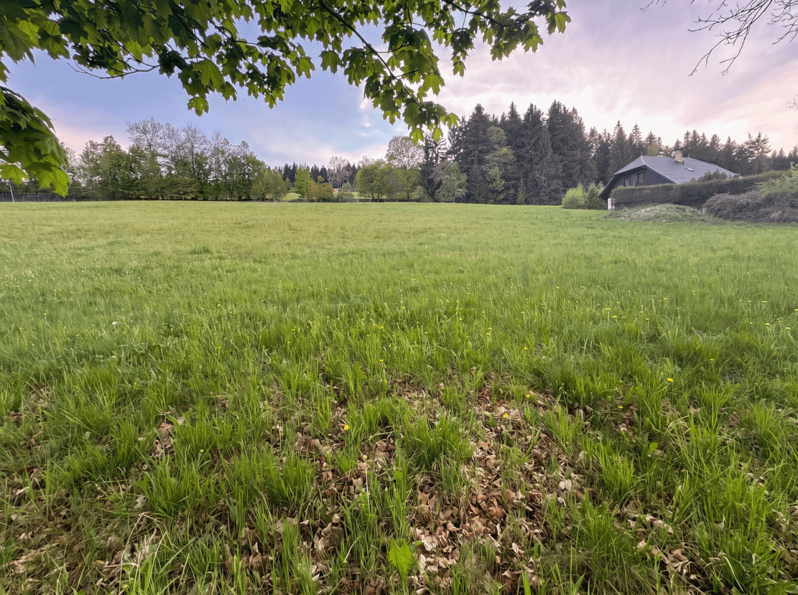 Predaj pozemku 2.138 m², Stachy, Jihočeský kraj Predaj pozemku 2.138 m², Stachy, Jihočeský kraj