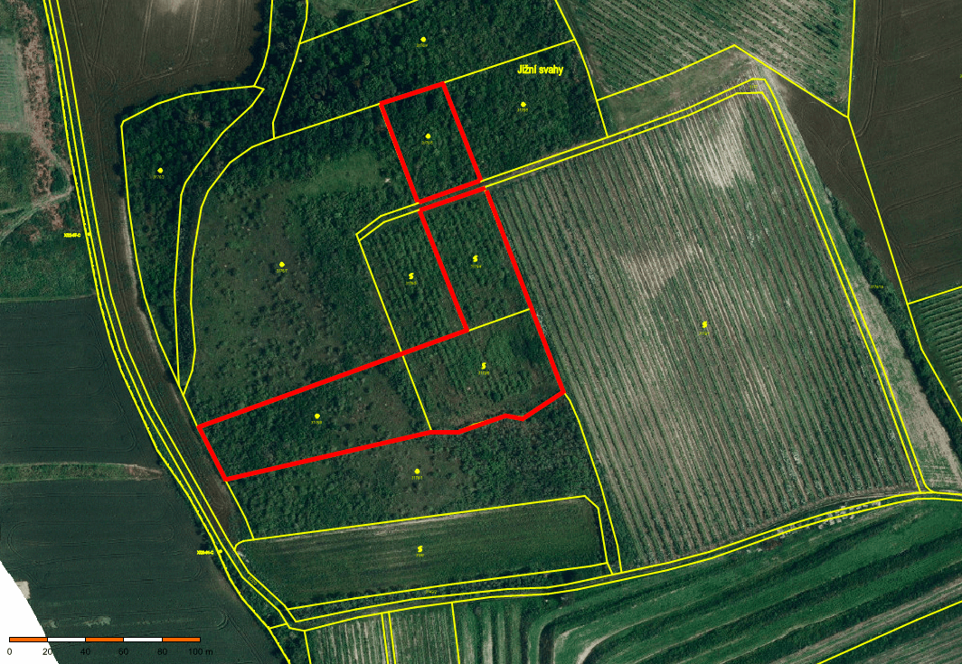 Predaj pozemku 11.975 m², Valtice, Jihomoravský kraj Predaj pozemku 11.975 m², Valtice, Jihomoravský kraj