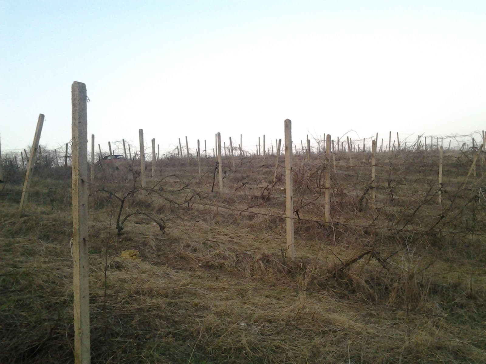 Predaj pozemku 11.975 m², Valtice, Jihomoravský kraj Predaj pozemku 11.975 m², Valtice, Jihomoravský kraj