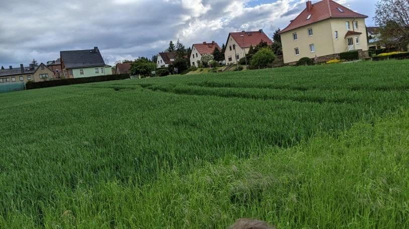 Predaj pozemku 1.350 m², Am Berg 5, Dresden, Sasko Predaj pozemku 1.350 m², Am Berg 5, Dresden, Sasko