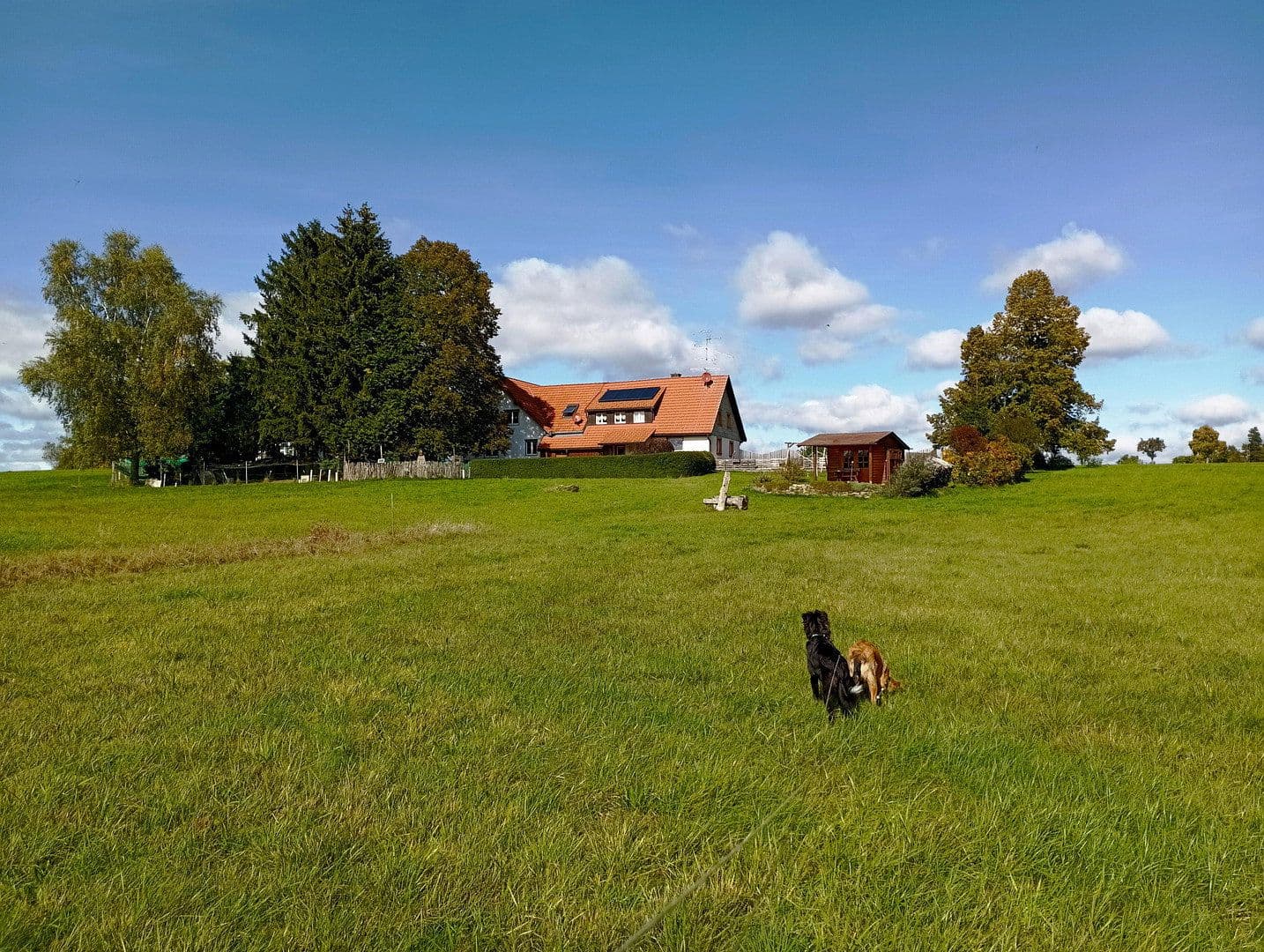 Prenájom domu 240 m², pozemek 2.300 m², Friedenweiler, Bádensko-Wurttembersko Prenájom domu 240 m², pozemek 2.300 m², Friedenweiler, Bádensko-Wurttembersko
