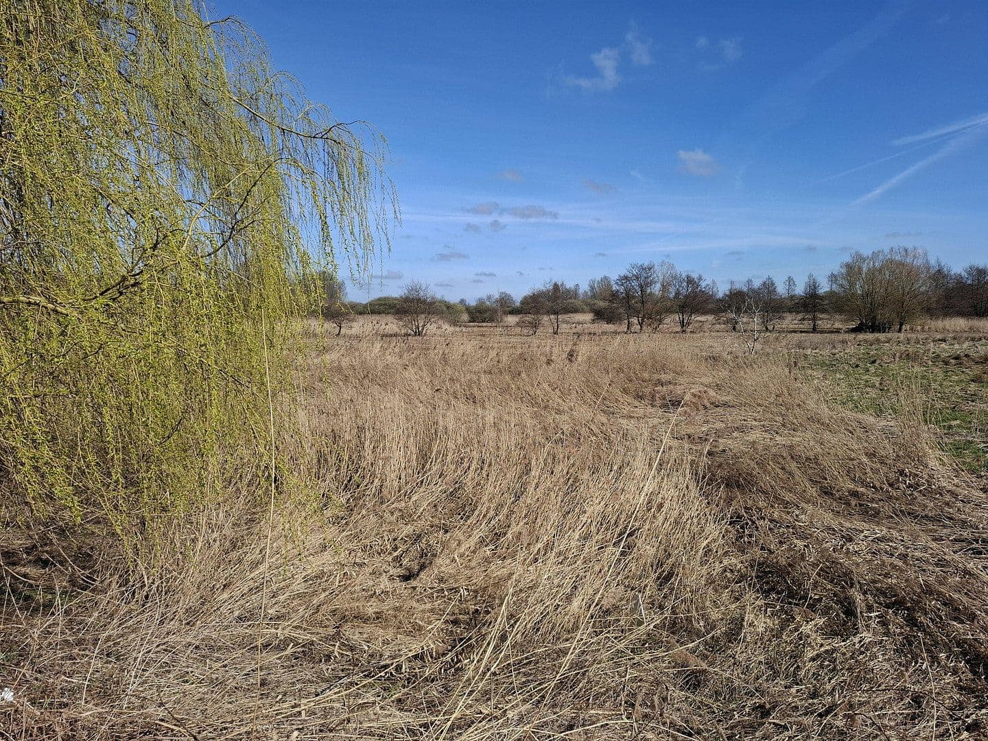 Predaj bytu 2-izbový 56 m², Grenzdamm 6, Pinneberg, Šlezvicko-Holštajnsko Predaj bytu 2-izbový 56 m², Grenzdamm 6, Pinneberg, Šlezvicko-Holštajnsko