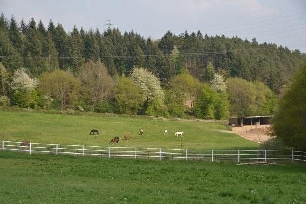 Predaj pozemku 180.000 m², Boppard, Porýnie-Falcko Predaj pozemku 180.000 m², Boppard, Porýnie-Falcko