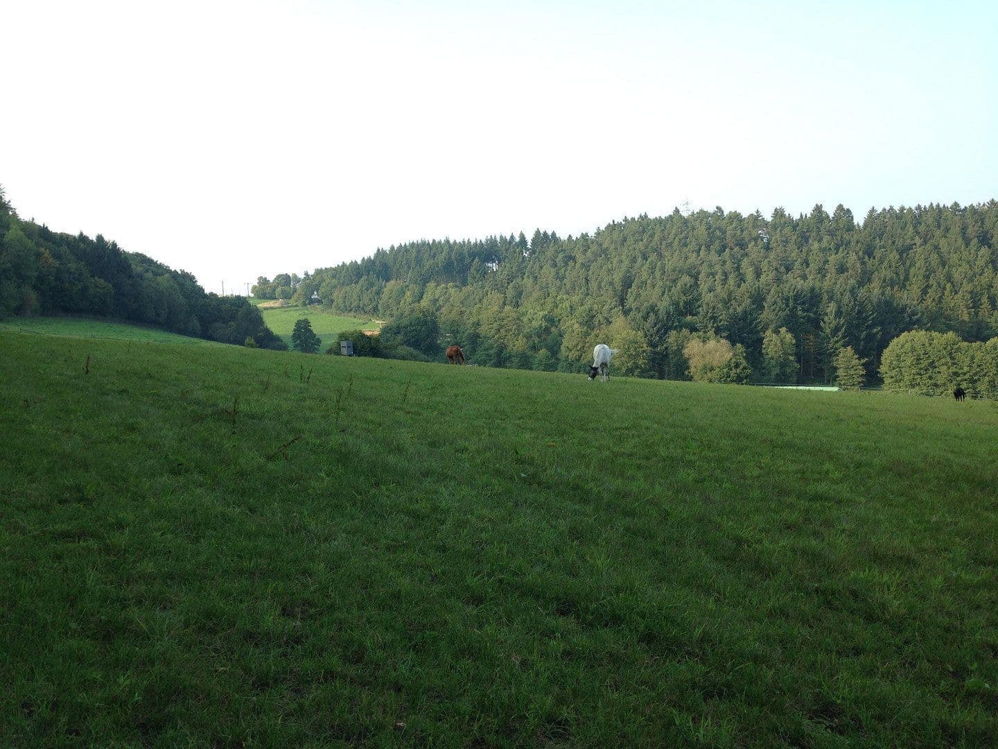 Predaj pozemku 180.000 m², Boppard, Porýnie-Falcko Predaj pozemku 180.000 m², Boppard, Porýnie-Falcko