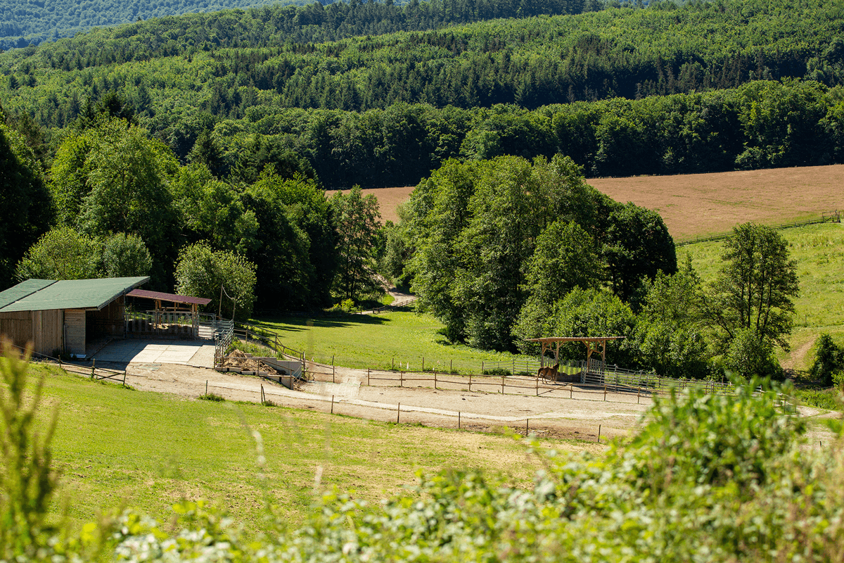 Predaj pozemku 180.000 m², Boppard, Porýnie-Falcko Predaj pozemku 180.000 m², Boppard, Porýnie-Falcko