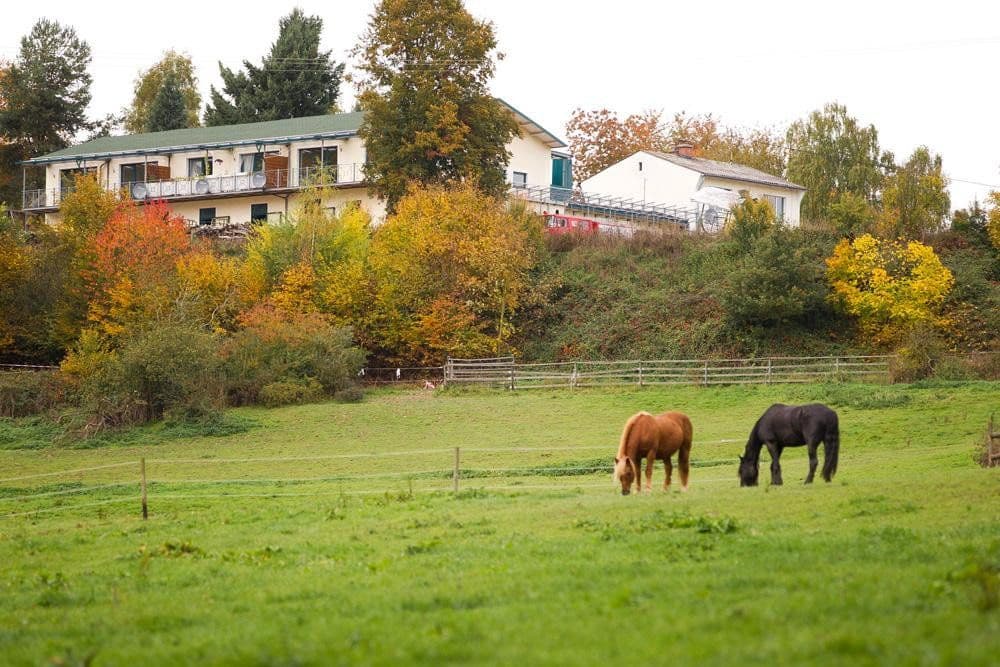 Predaj pozemku 180.000 m², Boppard, Porýnie-Falcko Predaj pozemku 180.000 m², Boppard, Porýnie-Falcko