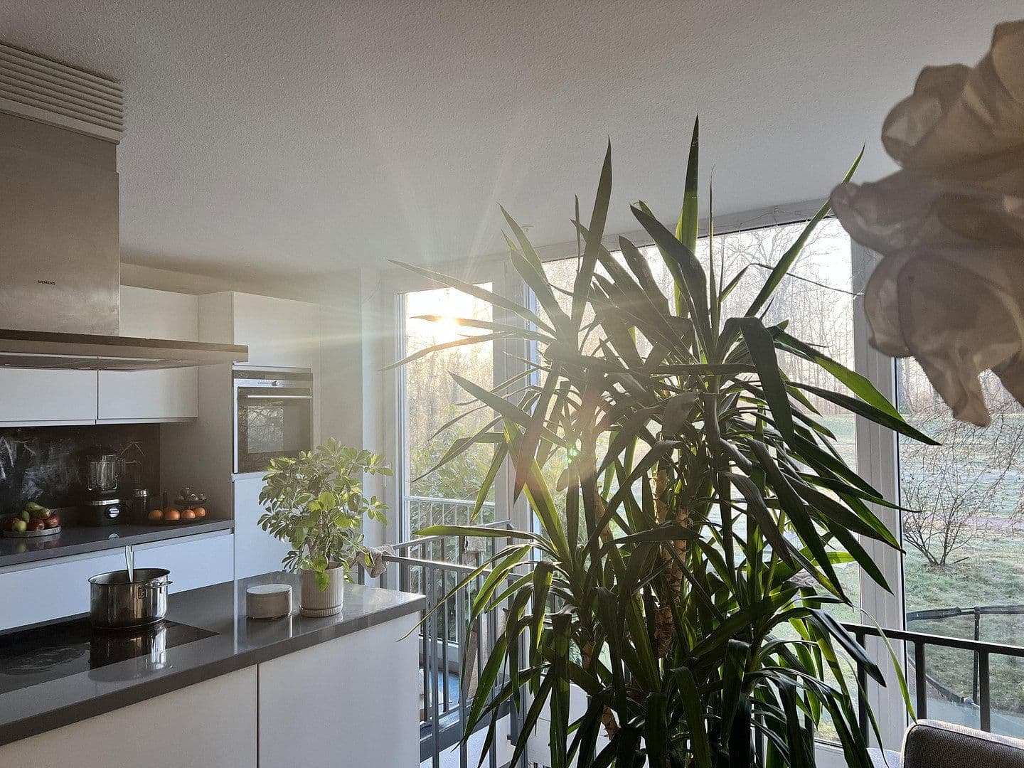 Predaj domu 166 m², pozemek 218 m², Rastatt, Bádensko-Wurttembersko Predaj domu 166 m², pozemek 218 m², Rastatt, Bádensko-Wurttembersko