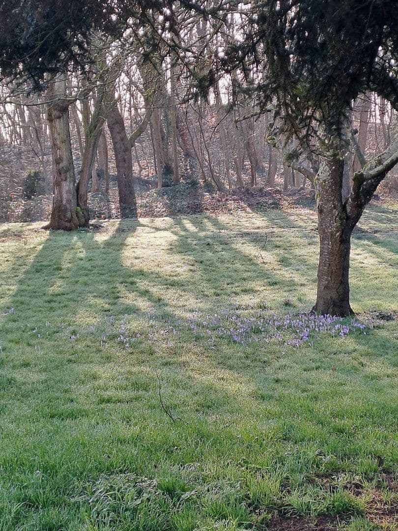 Predaj domu 166 m², pozemek 218 m², Rastatt, Bádensko-Wurttembersko Predaj domu 166 m², pozemek 218 m², Rastatt, Bádensko-Wurttembersko
