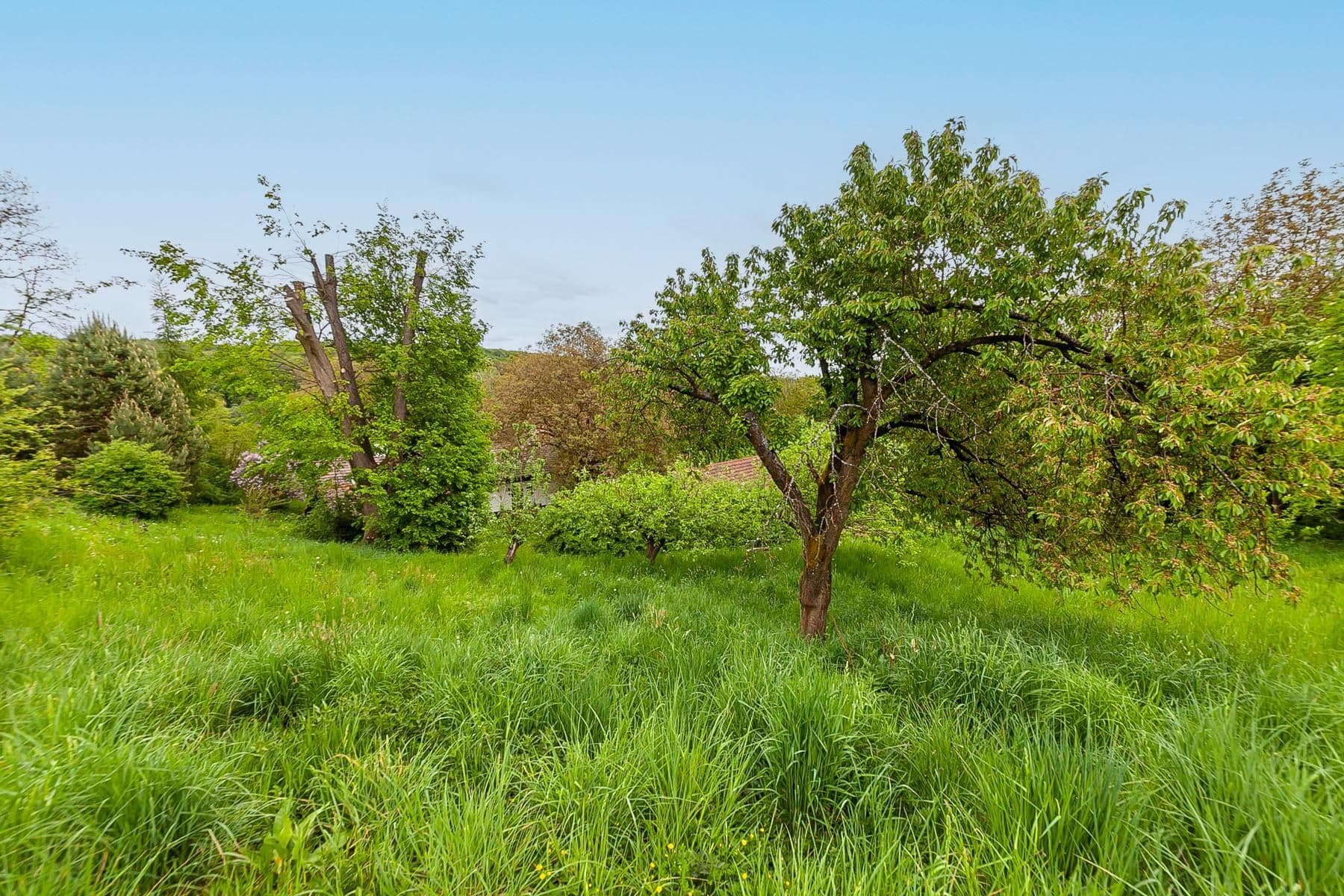 Predaj domu 196 m², pozemek 3.460 m², Staré Hrady, Královéhradecký kraj Predaj domu 196 m², pozemek 3.460 m², Staré Hrady, Královéhradecký kraj