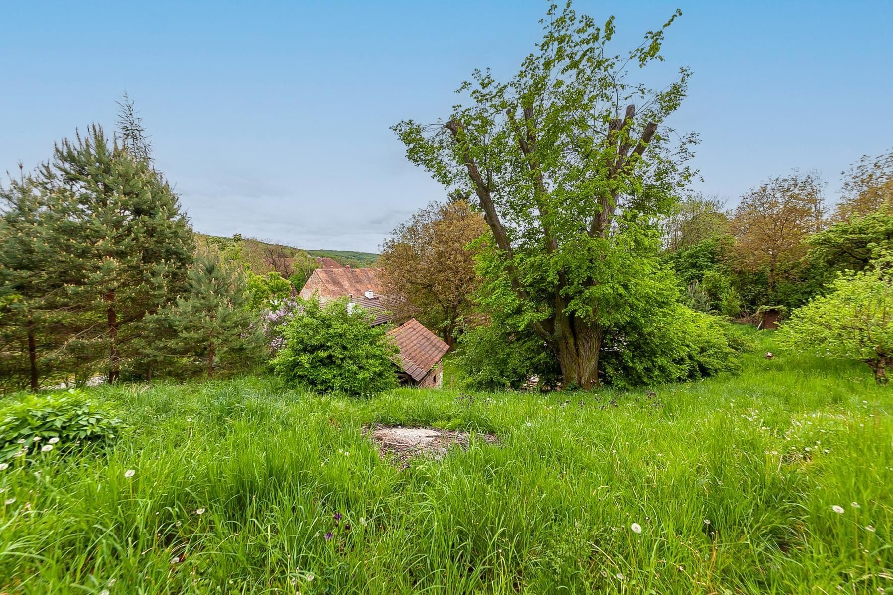 Predaj domu 196 m², pozemek 3.460 m², Staré Hrady, Královéhradecký kraj Predaj domu 196 m², pozemek 3.460 m², Staré Hrady, Královéhradecký kraj