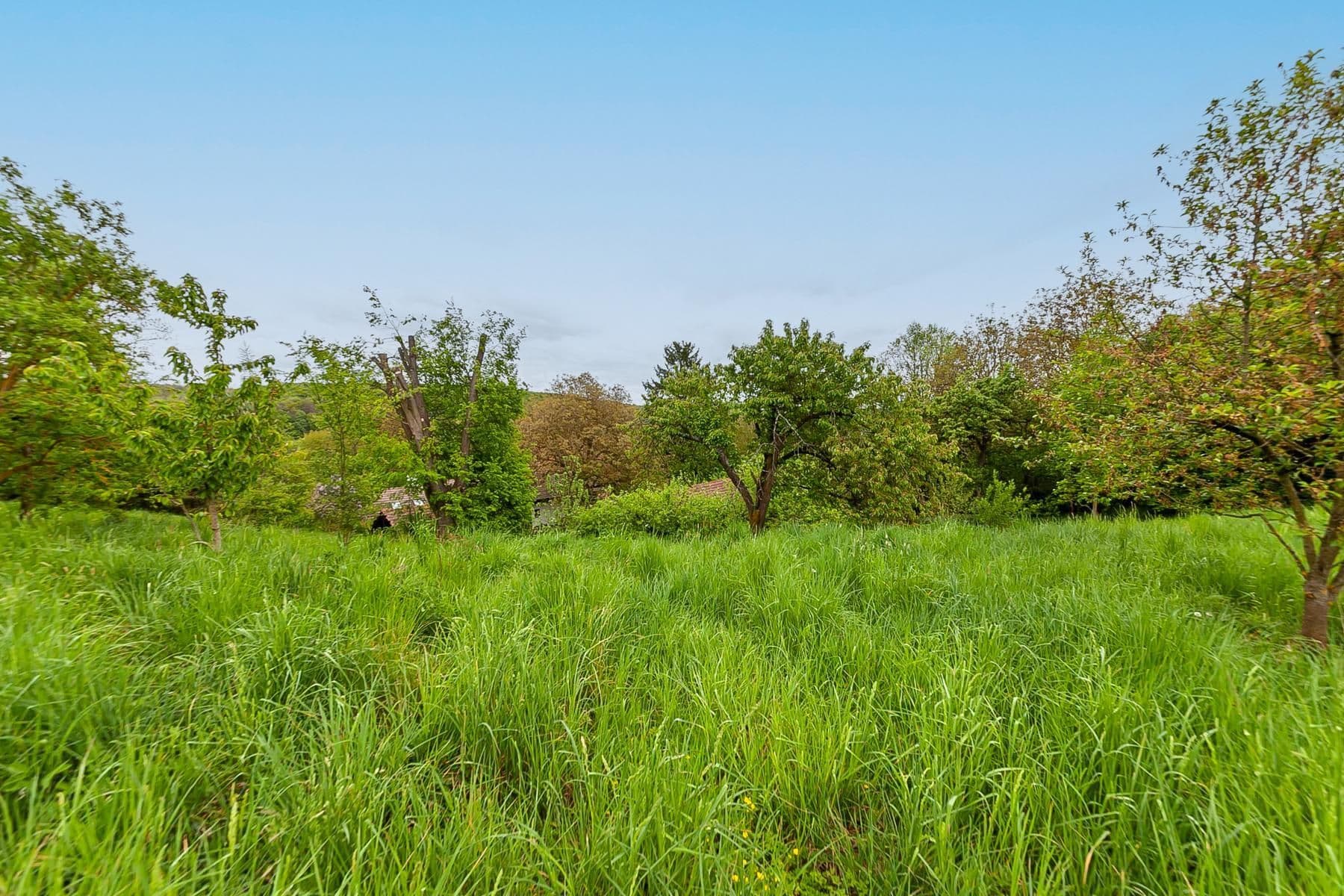 Predaj domu 196 m², pozemek 3.460 m², Staré Hrady, Královéhradecký kraj Predaj domu 196 m², pozemek 3.460 m², Staré Hrady, Královéhradecký kraj