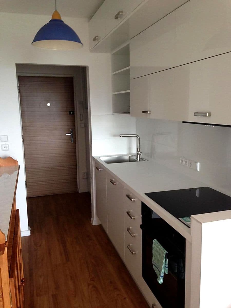 Prenájom bytu 1-izbový 29 m², Voříškova, Brno, Jihomoravský kraj Prenájom bytu 1-izbový 29 m², Voříškova, Brno, Jihomoravský kraj