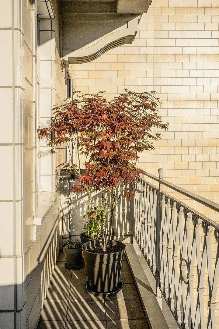 Predaj bytu 2-izbový 61 m², Berlin, Berlín Predaj bytu 2-izbový 61 m², Berlin, Berlín
