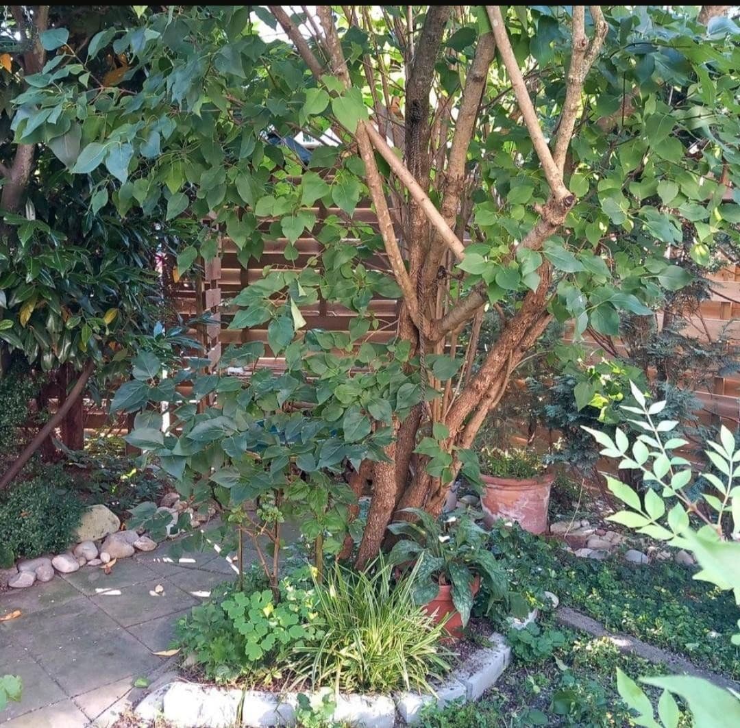 Prenájom domu 124 m², pozemek 150 m², Kaufering, Bavorsko Prenájom domu 124 m², pozemek 150 m², Kaufering, Bavorsko