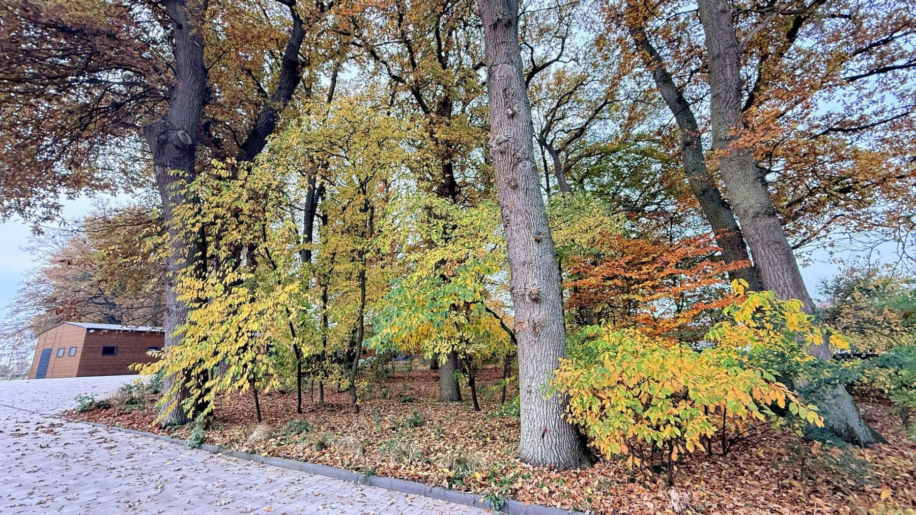 Predaj domu 877 m², pozemek 23.976 m², Balge, Dolné Sasko Predaj domu 877 m², pozemek 23.976 m², Balge, Dolné Sasko
