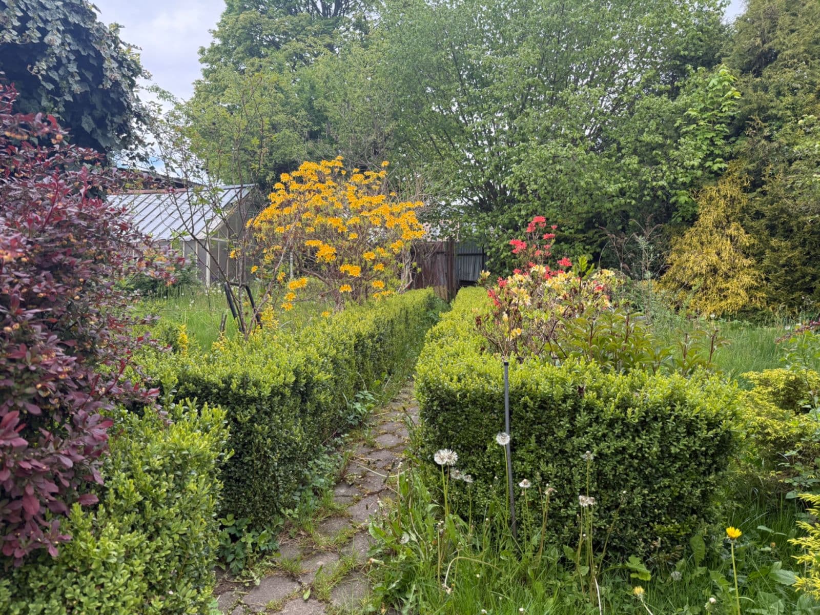 Predaj domu 120 m², pozemek 406 m², Růžová, Halže, Plzeňský kraj Predaj domu 120 m², pozemek 406 m², Růžová, Halže, Plzeňský kraj