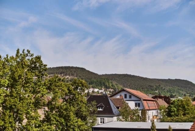 Prenájom bytu 2-izbový 62 m², Neustadt an der Weinstraße, Porýnie-Falcko Prenájom bytu 2-izbový 62 m², Neustadt an der Weinstraße, Porýnie-Falcko