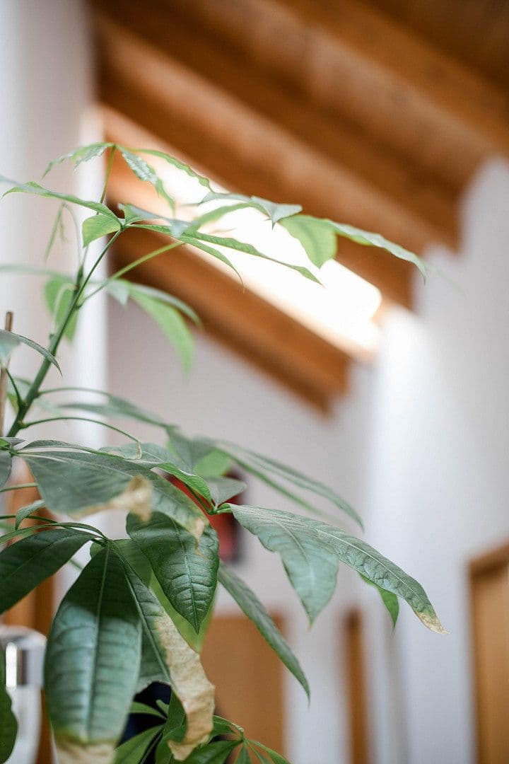 Predaj bytu 3-izbový 94 m², Wolfratshausen, Bavorsko Predaj bytu 3-izbový 94 m², Wolfratshausen, Bavorsko
