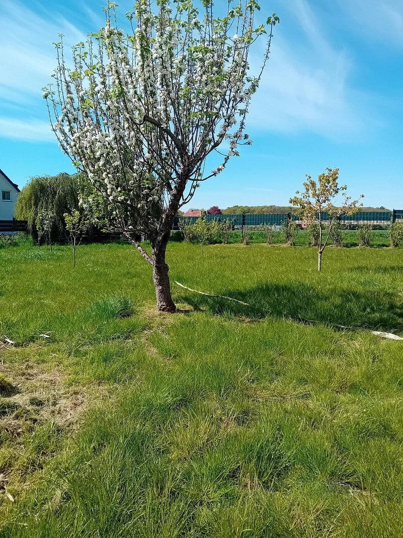 Predaj domu 175 m², pozemek 898 m², Spenge, Severné Porýnie - Westfálsko Predaj domu 175 m², pozemek 898 m², Spenge, Severné Porýnie - Westfálsko