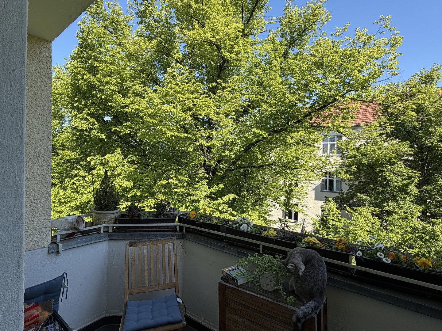 Predaj bytu 5-izbový 124 m², Berlin, Berlín Predaj bytu 5-izbový 124 m², Berlin, Berlín