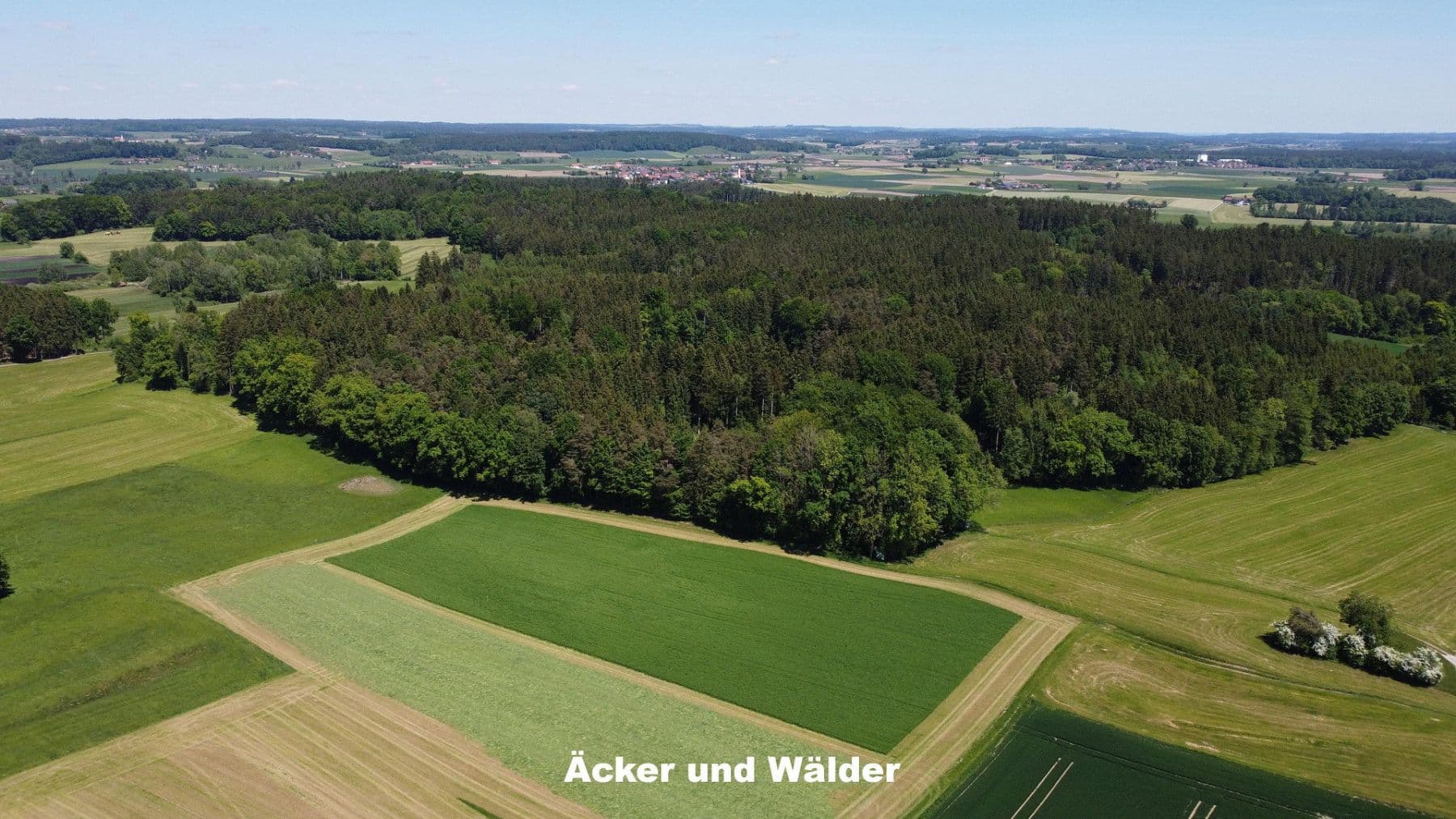 Predaj domu 400 m², pozemek 255.000 m², Ebersberg, Bavorsko Predaj domu 400 m², pozemek 255.000 m², Ebersberg, Bavorsko