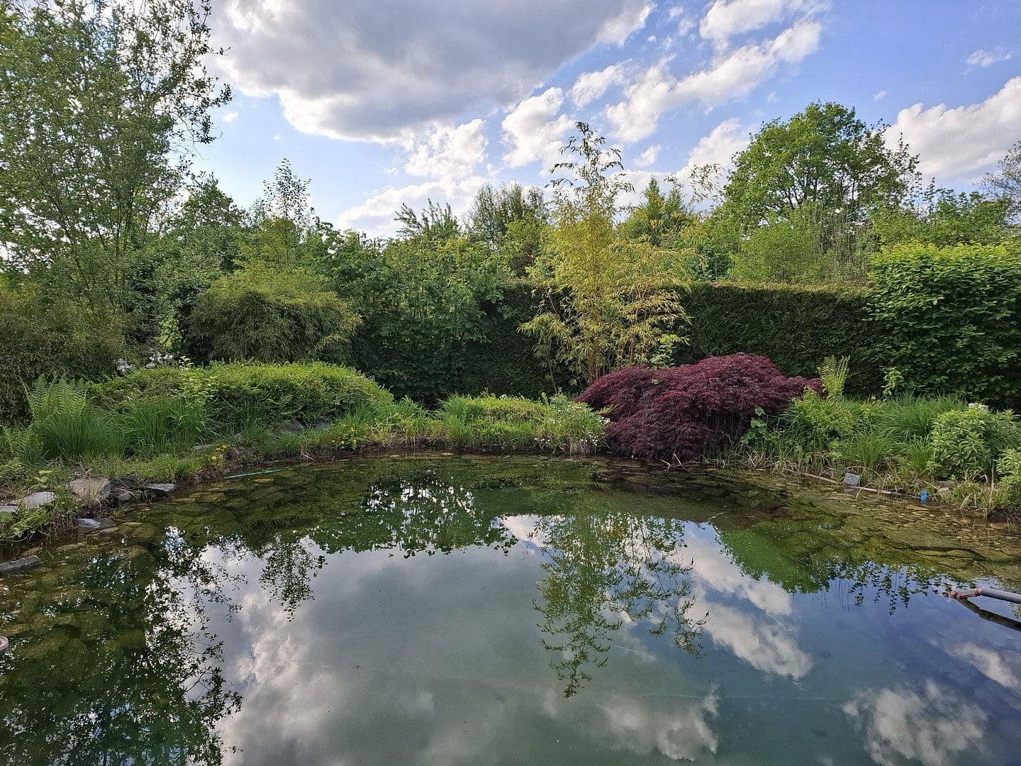Predaj domu 240 m², pozemek 992 m², Weyerbusch, Porýnie-Falcko Predaj domu 240 m², pozemek 992 m², Weyerbusch, Porýnie-Falcko