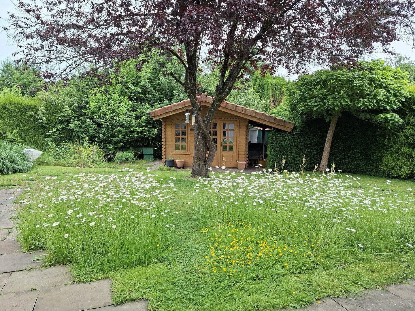 Predaj domu 240 m², pozemek 992 m², Weyerbusch, Porýnie-Falcko Predaj domu 240 m², pozemek 992 m², Weyerbusch, Porýnie-Falcko