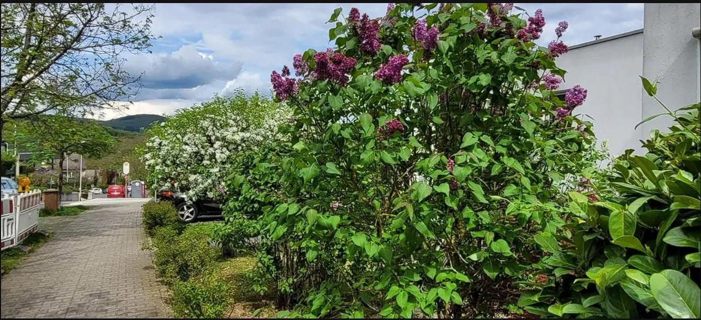 Prenájom bytu 3-izbový 93 m², Waldallee 7.42, Eppstein, Hesensko Prenájom bytu 3-izbový 93 m², Waldallee 7.42, Eppstein, Hesensko