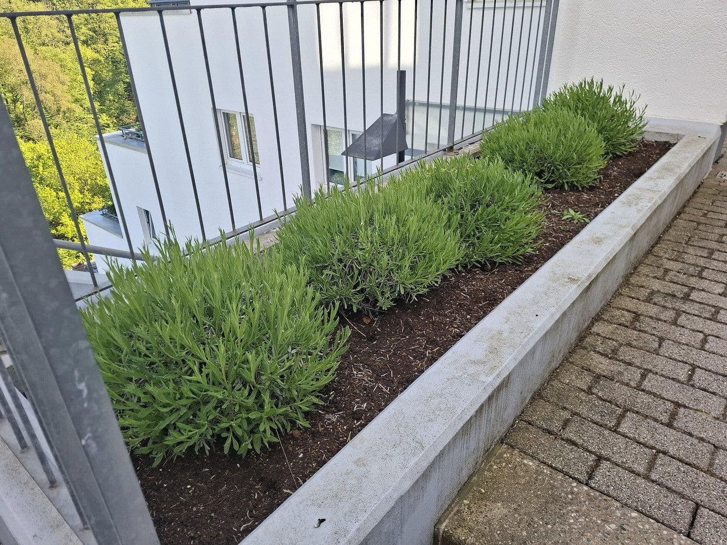 Prenájom bytu 3-izbový 93 m², Waldallee 7.42, Eppstein, Hesensko Prenájom bytu 3-izbový 93 m², Waldallee 7.42, Eppstein, Hesensko