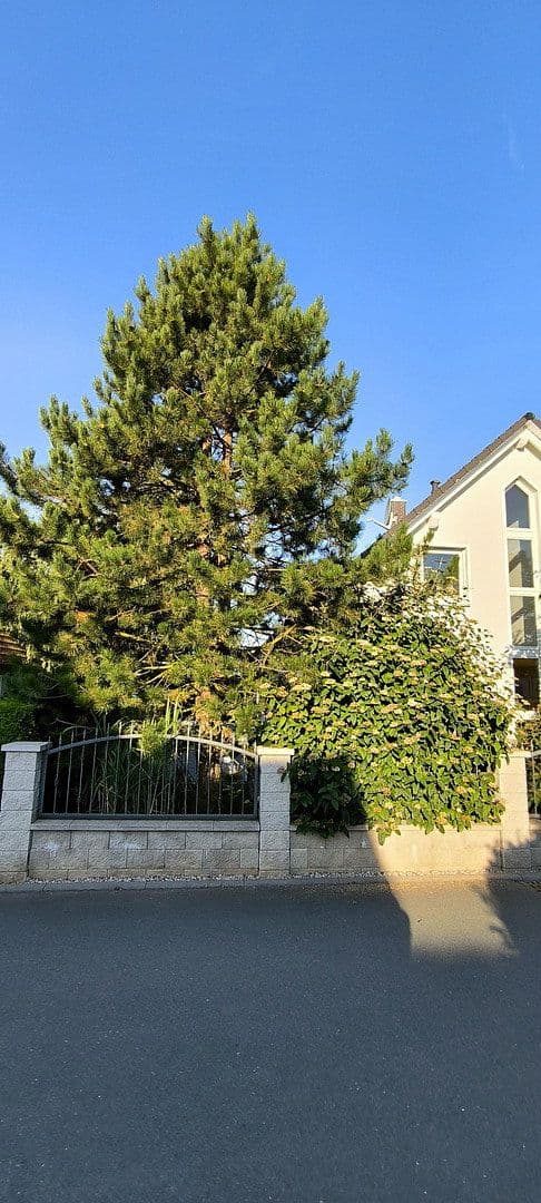 Predaj domu 138 m², pozemek 441 m², Jena, Durínsko Predaj domu 138 m², pozemek 441 m², Jena, Durínsko