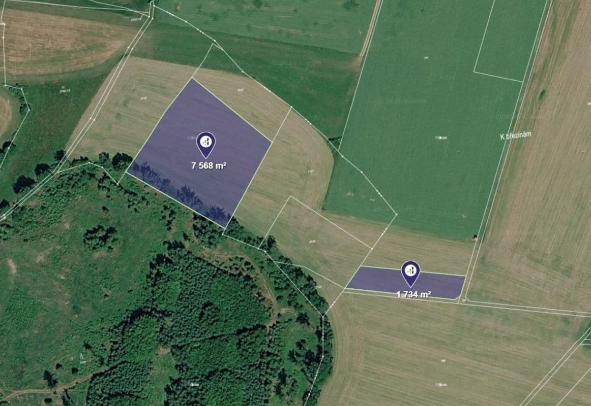 Predaj pozemku 21.890 m², Olešná, Kraj Vysočina Predaj pozemku 21.890 m², Olešná, Kraj Vysočina
