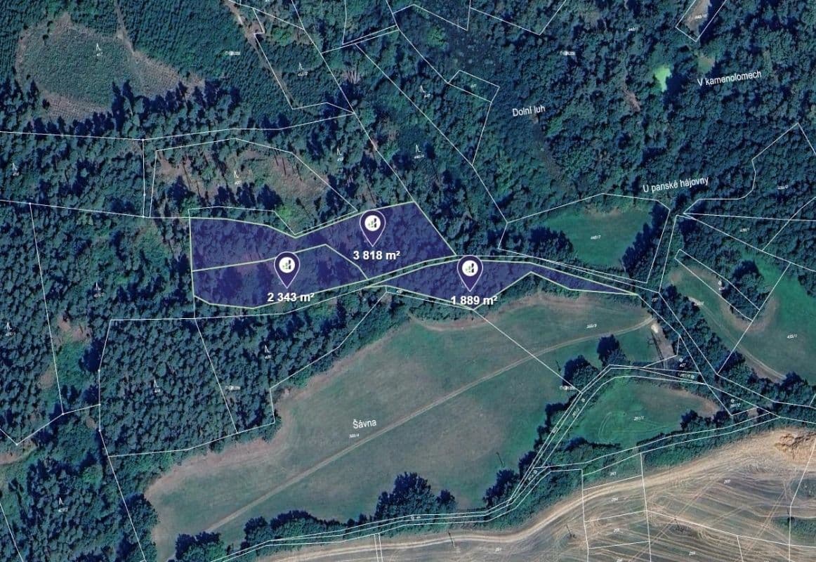 Predaj pozemku 10.026 m², Maňovice, Plzeňský kraj Predaj pozemku 10.026 m², Maňovice, Plzeňský kraj