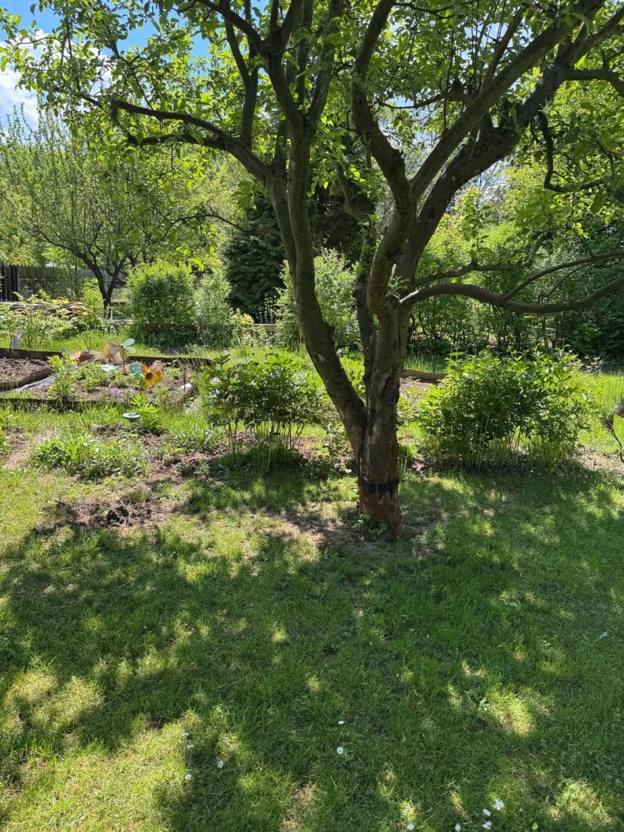Predaj rekreačného objektu 18 m², pozemek 400 m², Bohdanečská, Praha, Praha Predaj rekreačného objektu 18 m², pozemek 400 m², Bohdanečská, Praha, Praha