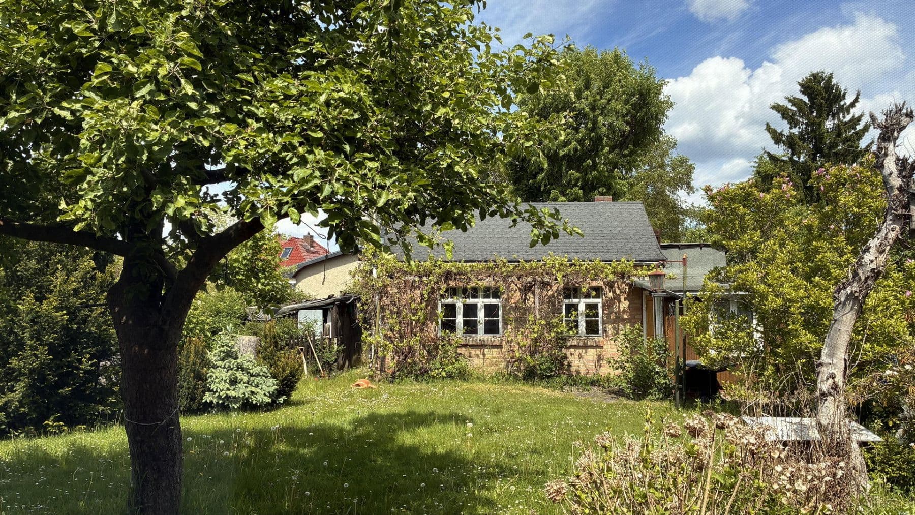 Prenájom domu 100 m², pozemek 780 m², Eichwalde, Brandenbursko Prenájom domu 100 m², pozemek 780 m², Eichwalde, Brandenbursko
