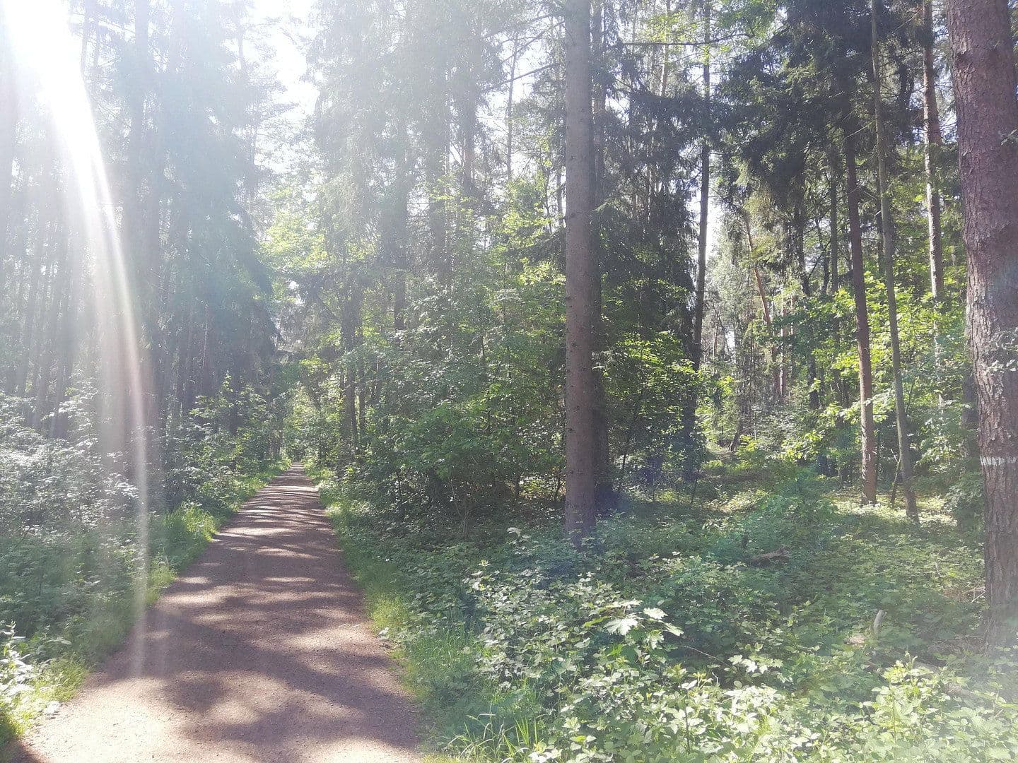Prenájom bytu 3-izbový 89 m², Rödermark, Hesensko Prenájom bytu 3-izbový 89 m², Rödermark, Hesensko