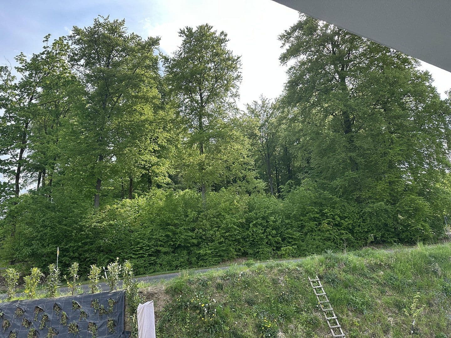 Predaj bytu 3-izbový 92 m², Buchenweg 5, Rengsdorf, Porýnie-Falcko Predaj bytu 3-izbový 92 m², Buchenweg 5, Rengsdorf, Porýnie-Falcko