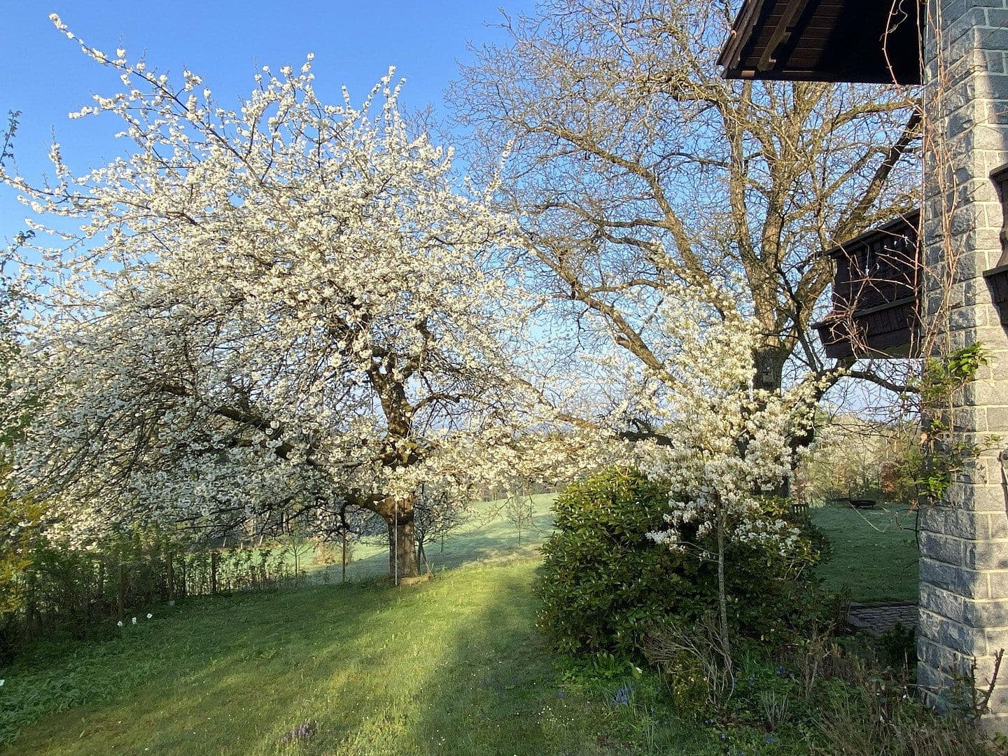 Predaj domu 189 m², pozemek 2.000 m², Fürstenstein, Bavorsko Predaj domu 189 m², pozemek 2.000 m², Fürstenstein, Bavorsko