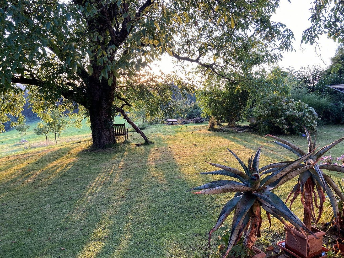 Predaj domu 189 m², pozemek 2.000 m², Fürstenstein, Bavorsko Predaj domu 189 m², pozemek 2.000 m², Fürstenstein, Bavorsko